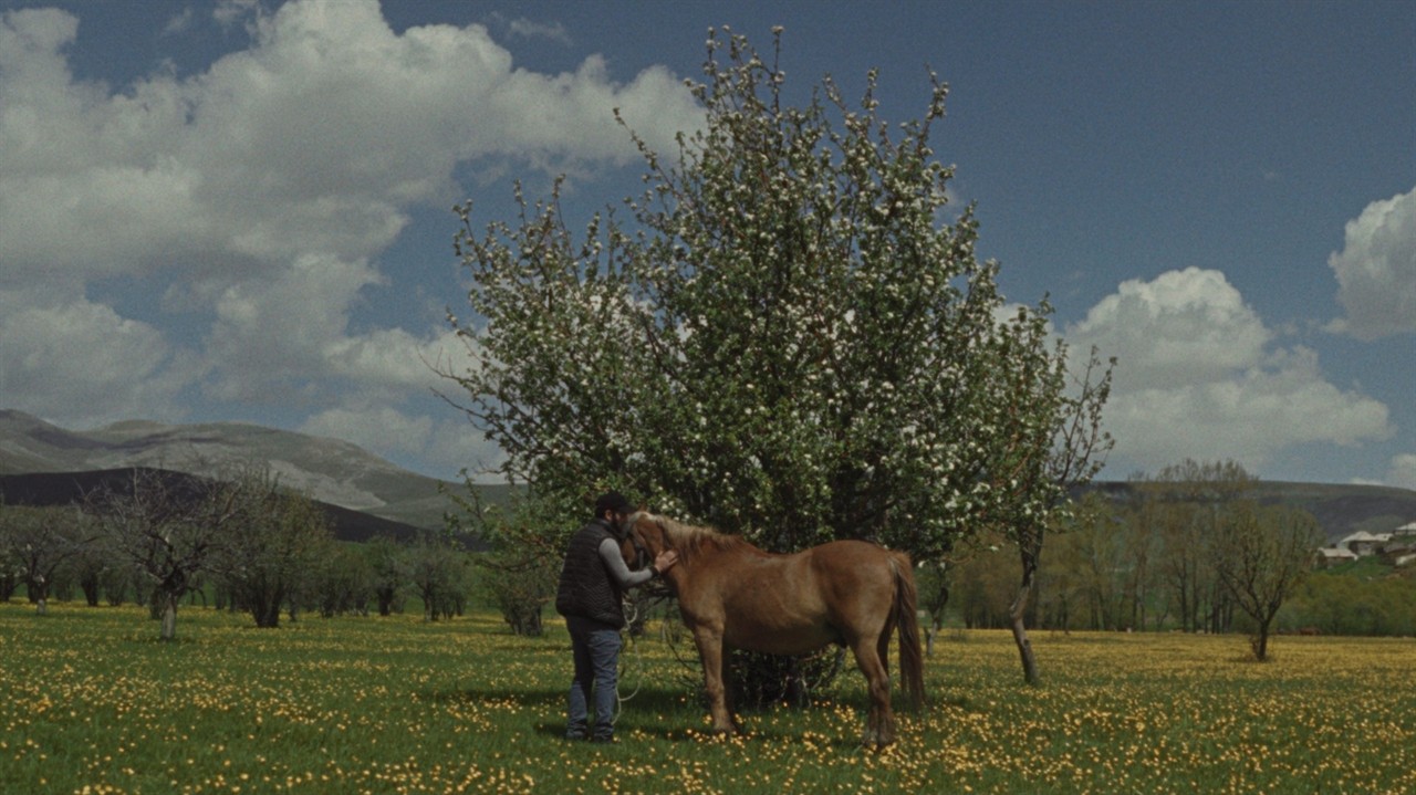 A man in an orchard with a horse